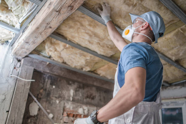 Best Residential Insulation in Mcdade, TX