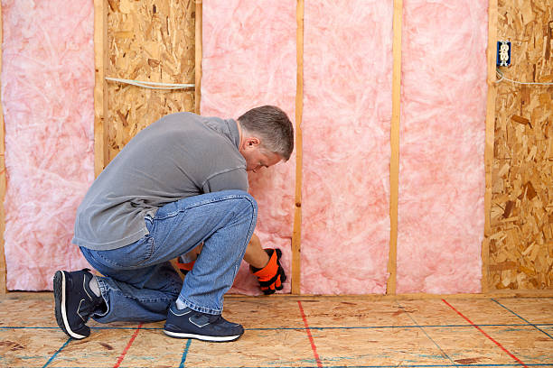 Best Insulation Maintenance and Repair in Mcdade, TX